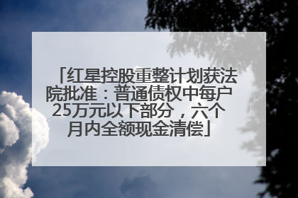 红星控股重整计划获法院批准：普通债权中每户25万元以下部分，六个月内全额现金清偿